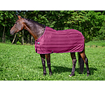 vliegendeken Economy Light