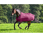 vliegendeken Economy Light