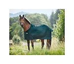 vliegendeken Economy Light