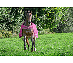 Outdoor Walker Kasimo II, 0 g