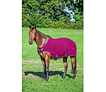 fleece Walker Activity