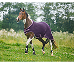 fleece Walker Activity