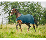 fleece Walker Activity