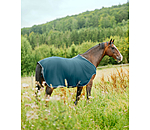 fleece Walker Activity