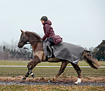 softshell uitrijdeken Alecto incl. afneembaar halsdeel