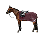 softshell uitrijdeken Alecto incl. afneembaar halsdeel