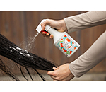 Spray shampoo Summer Vibes