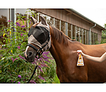 paarden deodorant sinaasappel-walnoot