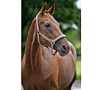 halster supervoordelig II