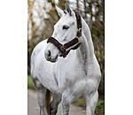 teddyfleece halster Protection