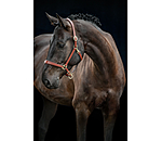 lederen halster Siri