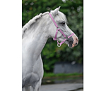 veulen- en shettyhalster Grow With You