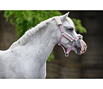 veulen & shetty teddyfleece halster Cozy verstelbaar