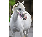 veulen & shetty teddyfleece halster Cozy verstelbaar