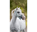 veulen & shetty teddyfleece halster Cozy verstelbaar