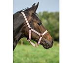 veulen en shetty halster Shimmering