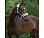 halster Shimmering Stripes