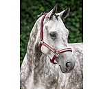Veulen en Shetty Halster Blaire
