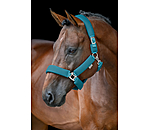 Mesh halster Airflow