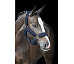 Mesh halster Airflow