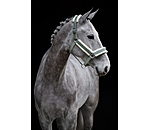 halster Shine