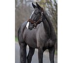 teddyfleece halster