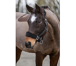 teddyfleece halster