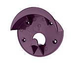 black-violet