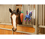 paardenspeelgoed Carrot