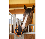 Paardenspeelbal Snack