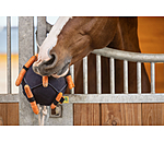 Paardenspeelbal Snack