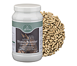 Biotine Booster