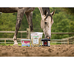 Kruidenmengsel Senior