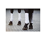 peesbeschermers Perfect Protection, achterbenen