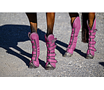 transportbeschermers Kilian