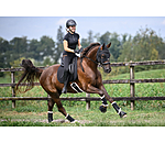 comfort masker voor paarden Earless Ceramic Rehab