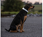 reflex honden halsband