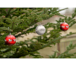 kerstballen set