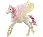 Sunrise Pegasus veulen
