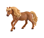 IJslandse ponyhengst