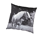 kussen Haflinger