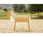 houten paard Woody