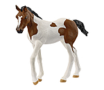 Paint Horse Veulen