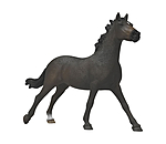 Engelse volbloed merrie