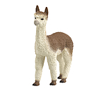 Alpaca