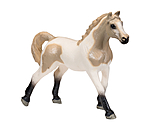 Play series  bonte Palomino