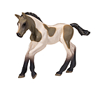 Play series bonte Palominoveulen