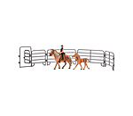 play-serie Haflinger-set