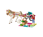 paardenshow koets
