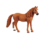 Duitse pony Stute